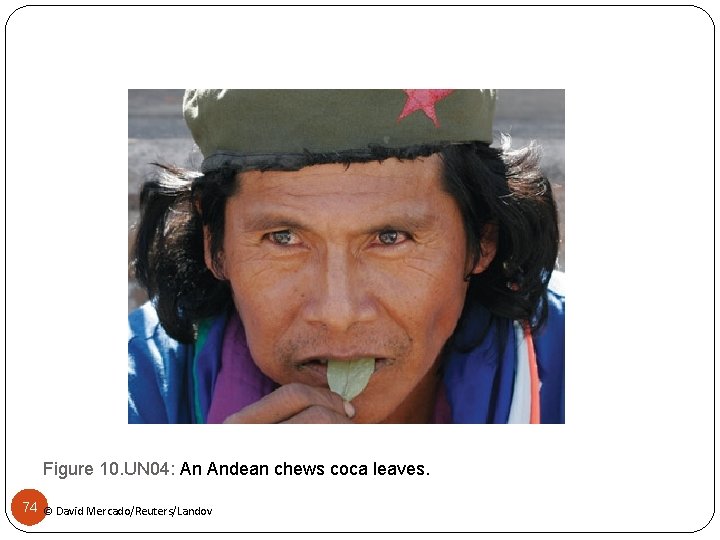 Figure 10. UN 04: An Andean chews coca leaves. 74 © David Mercado/Reuters/Landov 