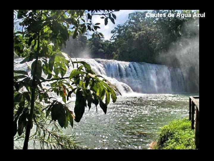 Chutes de Agua Azul 