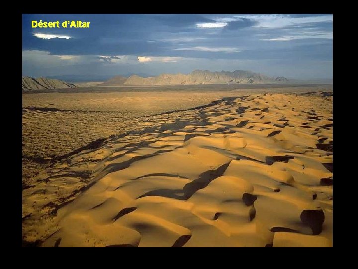 Désert d’Altar 