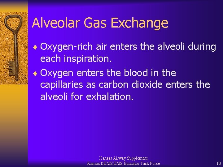 Alveolar Gas Exchange ¨ Oxygen-rich air enters the alveoli during each inspiration. ¨ Oxygen