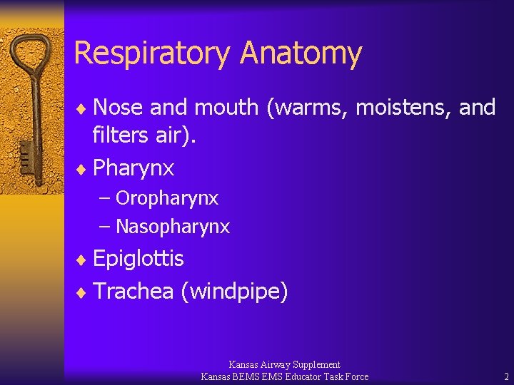 Respiratory Anatomy ¨ Nose and mouth (warms, moistens, and filters air). ¨ Pharynx –