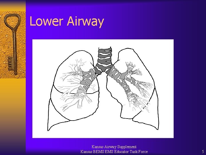 Lower Airway Kansas Airway Supplement Kansas BEMS Educator Task Force 5 