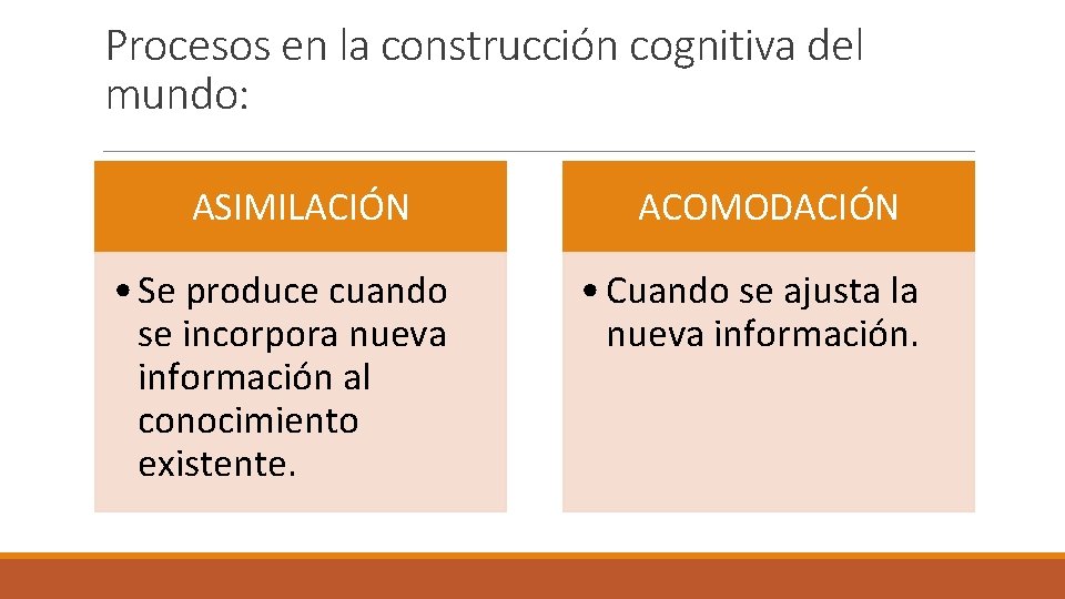Procesos en la construcción cognitiva del mundo: ASIMILACIÓN • Se produce cuando se incorpora