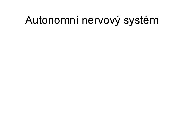 Autonomní nervový systém 