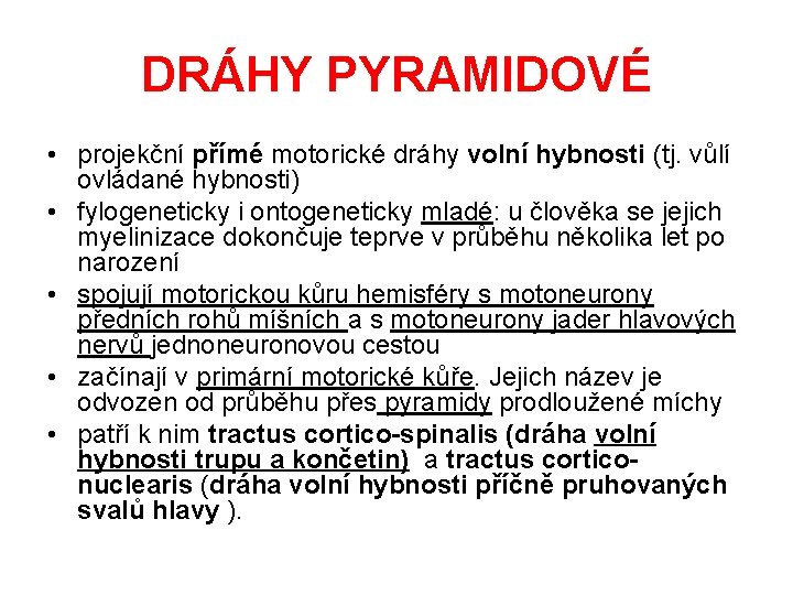 DRÁHY PYRAMIDOVÉ • projekční přímé motorické dráhy volní hybnosti (tj. vůlí ovládané hybnosti) •