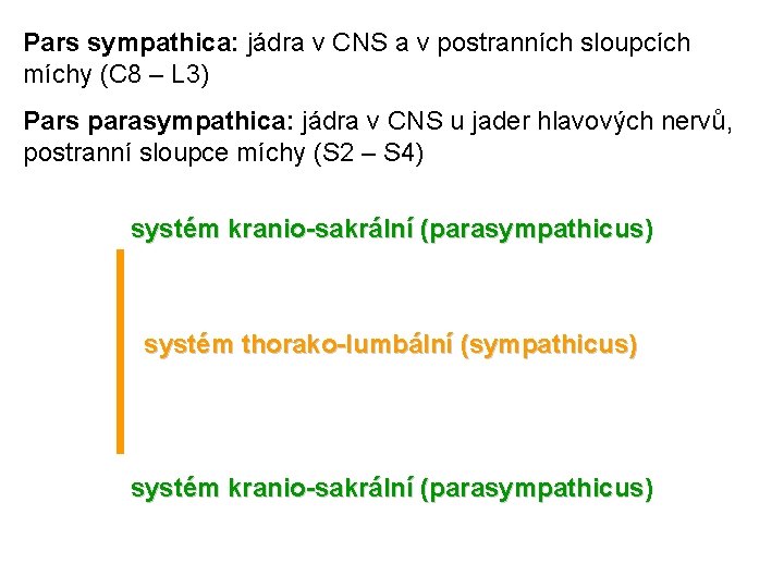 Pars sympathica: jádra v CNS a v postranních sloupcích míchy (C 8 – L