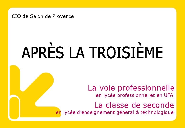 CIO de Salon de Provence La voie professionnelle en lycée professionnel et en UFA