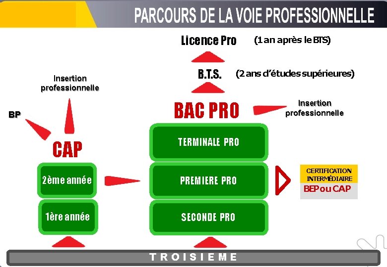 Licence Pro Insertion professionnelle B. T. S. (2 ans d’études supérieures) BAC PRO BP