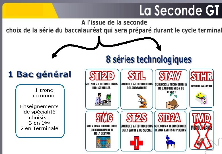 1 tronc commun + Enseignements de spécialité choisis : 3 en 1ère 2 en