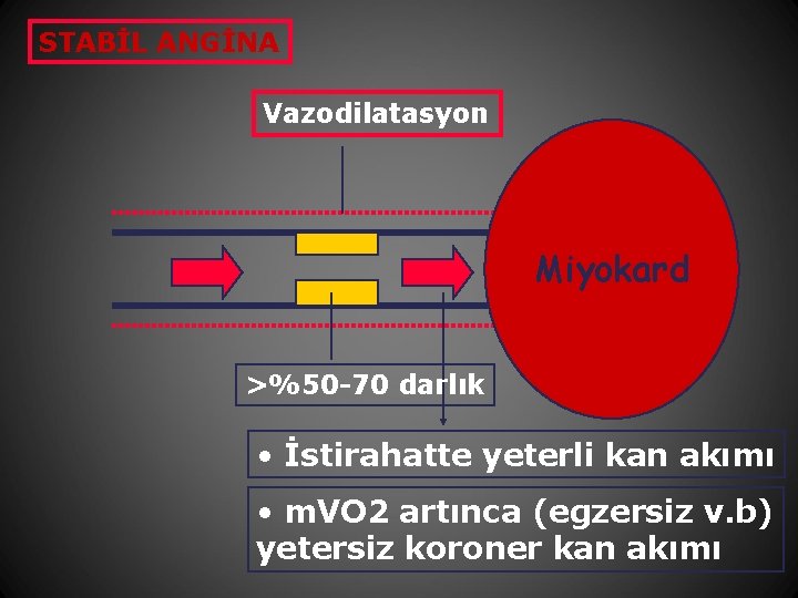 STABİL ANGİNA Vazodilatasyon Miyokard >%50 -70 darlık • İstirahatte yeterli kan akımı • m.