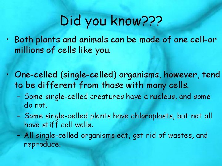Did you know? ? ? • Both plants and animals can be made of