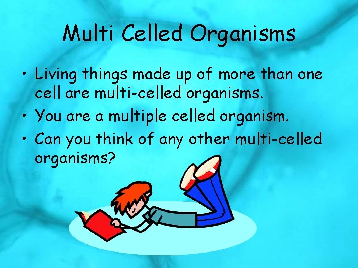 Multi Celled Organisms • Living things made up of more than one cell are