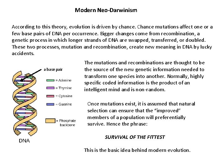 Modern Neo-Darwinism According to this theory, evolution is driven by chance. Chance mutations affect