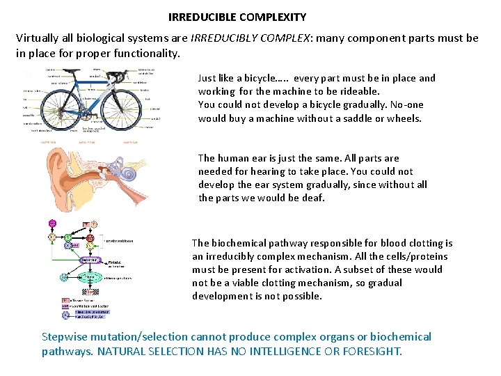 IRREDUCIBLE COMPLEXITY Virtually all biological systems are IRREDUCIBLY COMPLEX: many component parts must be