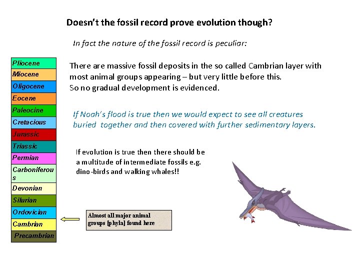 Doesn’t the fossil record prove evolution though? In fact the nature of the fossil