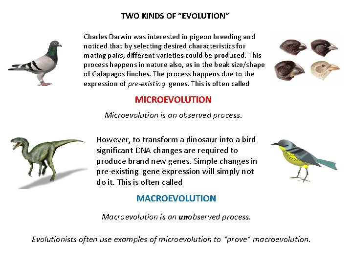 TWO KINDS OF “EVOLUTION” Charles Darwin was interested in pigeon breeding and noticed that