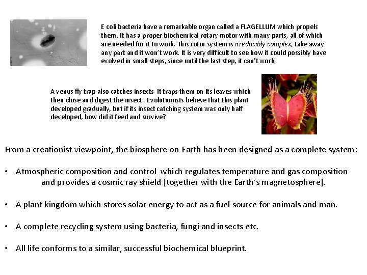 E coli bacteria have a remarkable organ called a FLAGELLUM which propels them. It