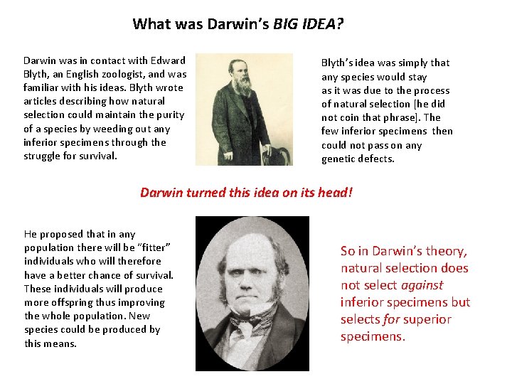 What was Darwin’s BIG IDEA? Darwin was in contact with Edward Blyth, an English