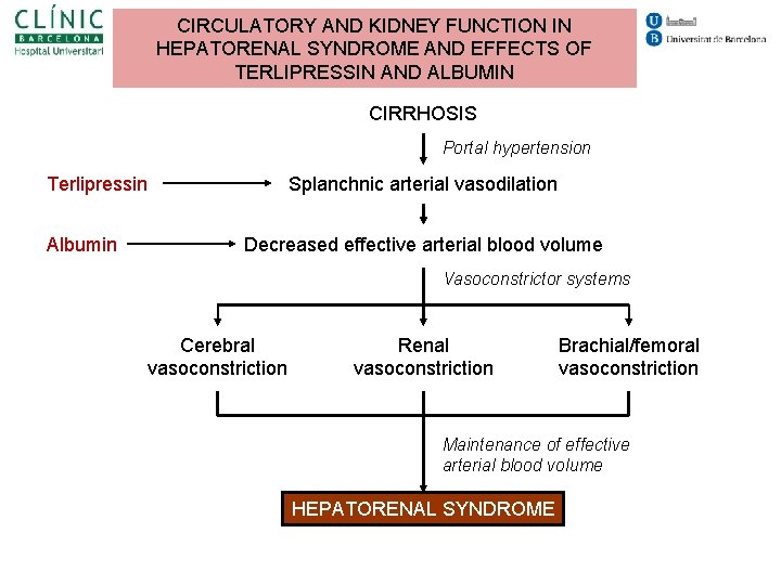 CIRCULATORY AND KIDNEY FUNCTION IN HEPATORENAL SYNDROME AND EFFECTS OF TERLIPRESSIN AND ALBUMIN CIRRHOSIS CIRCULATORY AND KIDNEY FUNCTION IN HEPATORENAL SYNDROME AND EFFECTS OF TERLIPRESSIN AND ALBUMIN CIRRHOSIS