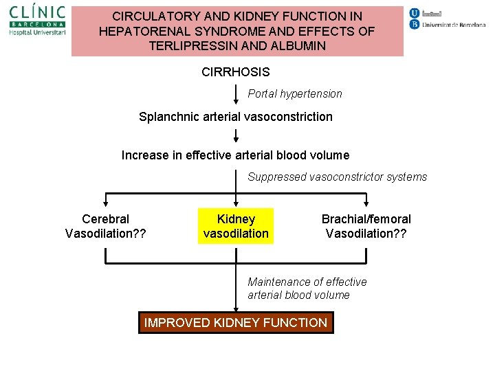 CIRCULATORY AND KIDNEY FUNCTION IN HEPATORENAL SYNDROME AND EFFECTS OF TERLIPRESSIN AND ALBUMIN CIRRHOSIS CIRCULATORY AND KIDNEY FUNCTION IN HEPATORENAL SYNDROME AND EFFECTS OF TERLIPRESSIN AND ALBUMIN CIRRHOSIS
