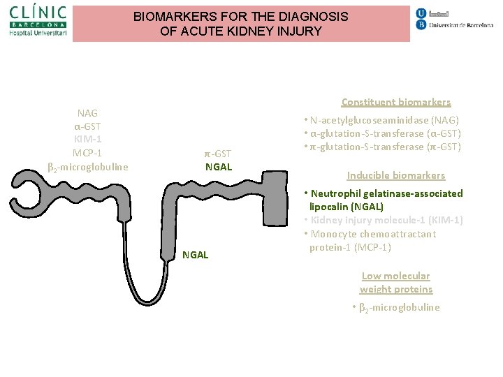 BIOMARKERS FOR THE DIAGNOSIS OF ACUTE KIDNEY INJURY NAG α-GST KIM-1 MCP-1 β 2 BIOMARKERS FOR THE DIAGNOSIS OF ACUTE KIDNEY INJURY NAG α-GST KIM-1 MCP-1 β 2