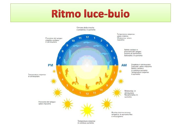 Ritmo luce-buio 