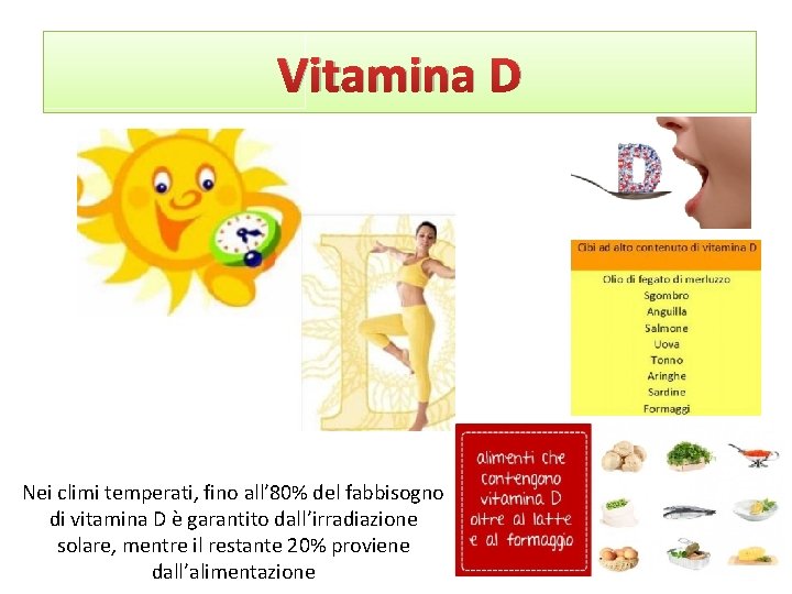 Vitamina D Nei climi temperati, fino all’ 80% del fabbisogno di vitamina D è