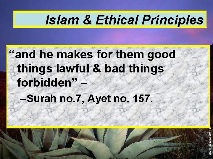 Islam & Ethical Principles “and he makes for them good things lawful & bad