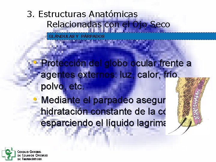 3. Estructuras Anatómicas Relacionadas con el Ojo Seco GLÁNDULAS Y PÁRPADOS • Protección del 3. Estructuras Anatómicas Relacionadas con el Ojo Seco GLÁNDULAS Y PÁRPADOS • Protección del