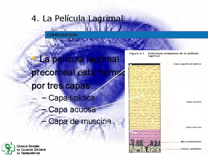 4. La Película Lagrimal COMPOSICIÓN • La película lagrimal precorneal está formada por tres 4. La Película Lagrimal COMPOSICIÓN • La película lagrimal precorneal está formada por tres