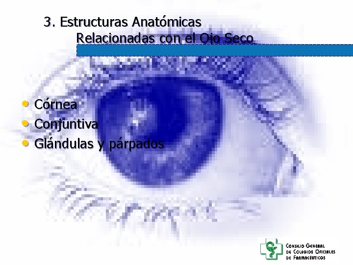 3. Estructuras Anatómicas Relacionadas con el Ojo Seco • Córnea • Conjuntiva • Glándulas 3. Estructuras Anatómicas Relacionadas con el Ojo Seco • Córnea • Conjuntiva • Glándulas
