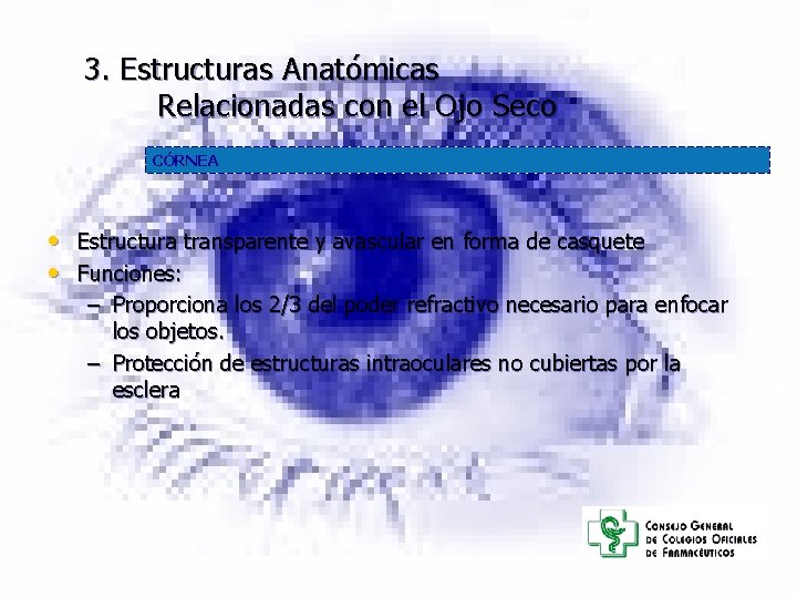 3. Estructuras Anatómicas Relacionadas con el Ojo Seco CÓRNEA • Estructura transparente y avascular 3. Estructuras Anatómicas Relacionadas con el Ojo Seco CÓRNEA • Estructura transparente y avascular