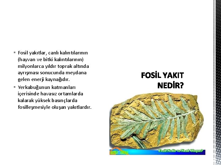 § Fosil yakıtlar, canlı kalıntılarının (hayvan ve bitki kalıntılarının) milyonlarca yıldır toprak altında ayrışması