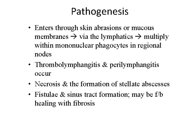 Pathogenesis • Enters through skin abrasions or mucous membranes via the lymphatics multiply within