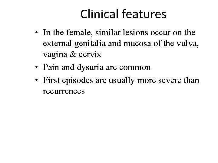 Clinical features • In the female, similar lesions occur on the external genitalia and