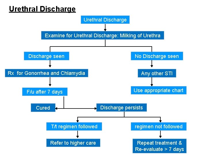 Urethral Discharge Examine for Urethral Discharge: Milking of Urethra Discharge seen No Discharge seen