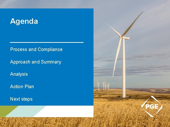 Agenda Process and Compliance Approach and Summary Analysis Action Plan Next steps 2 