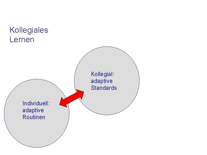 Kollegiales Lernen Kollegial: adaptive Standards Individuell: adaptive Routinen 