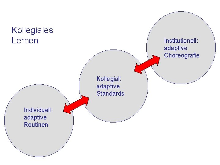 Kollegiales Lernen Institutionell: adaptive Choreografie Kollegial: adaptive Standards Individuell: adaptive Routinen 