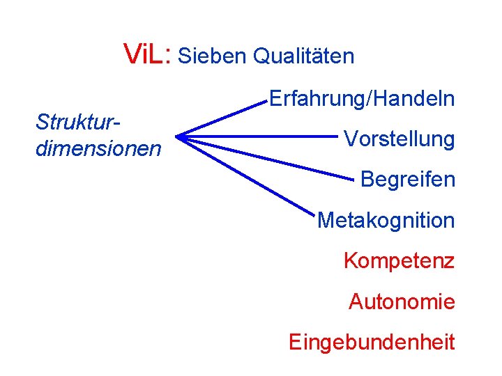 Vi. L: Sieben Qualitäten Strukturdimensionen Erfahrung/Handeln Vorstellung Begreifen Metakognition Kompetenz Autonomie Eingebundenheit 