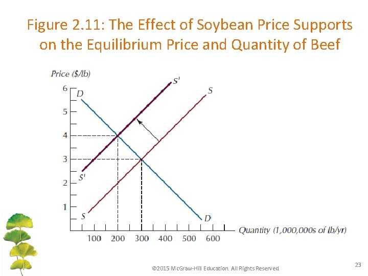 Figure 2. 11: The Effect of Soybean Price Supports on the Equilibrium Price and