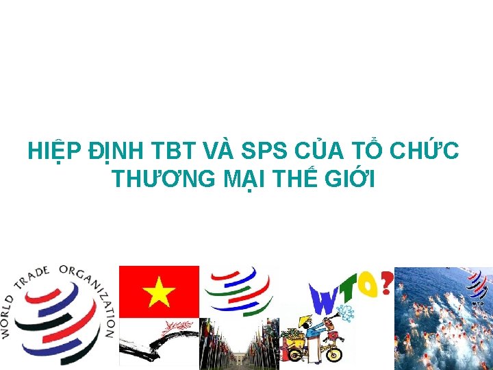 HIỆP ĐỊNH TBT VÀ SPS CỦA TỔ CHỨC THƯƠNG MẠI THẾ GIỚI 