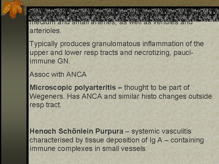 Wegener’s granulomatosis – systemic vasculitis of medium and small arteries, as well as venules