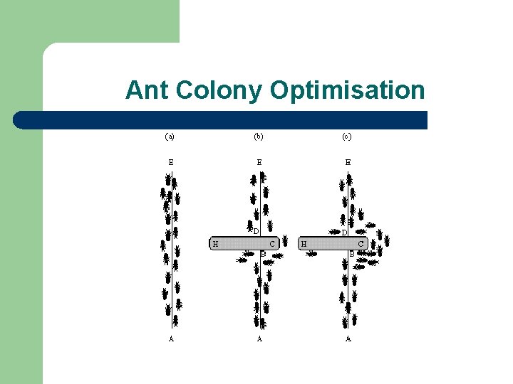 Ant Colony Optimisation 