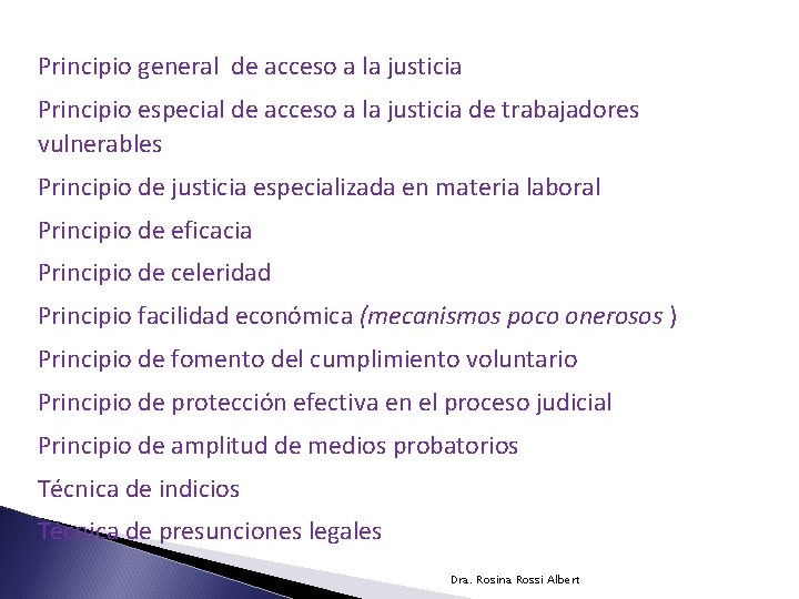 Principio general de acceso a la justicia Principio especial de acceso a la justicia