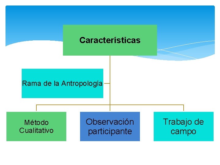 Características Rama de la Antropología Método Cualitativo Observación participante Trabajo de campo Características Rama de la Antropología Método Cualitativo Observación participante Trabajo de campo