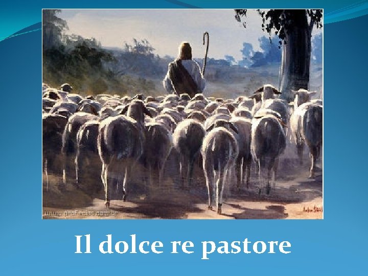 Il dolce re pastore 