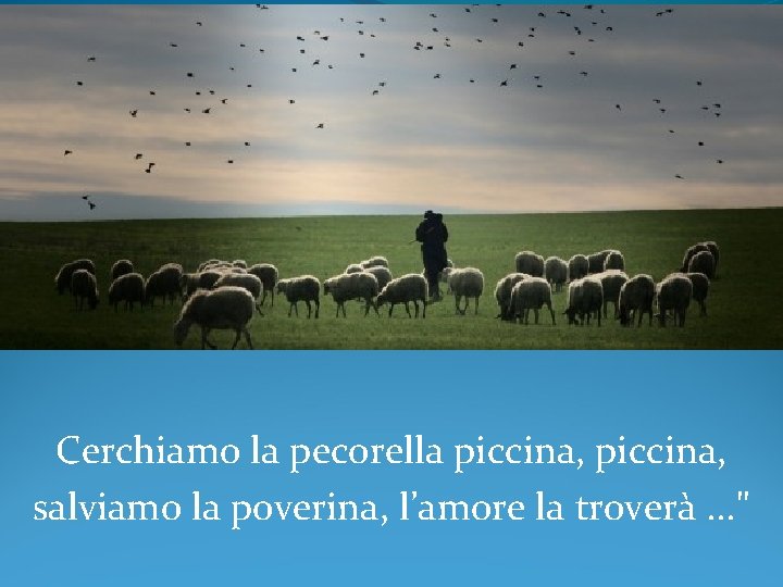 Cerchiamo la pecorella piccina, salviamo la poverina, l’amore la troverà. . . " 