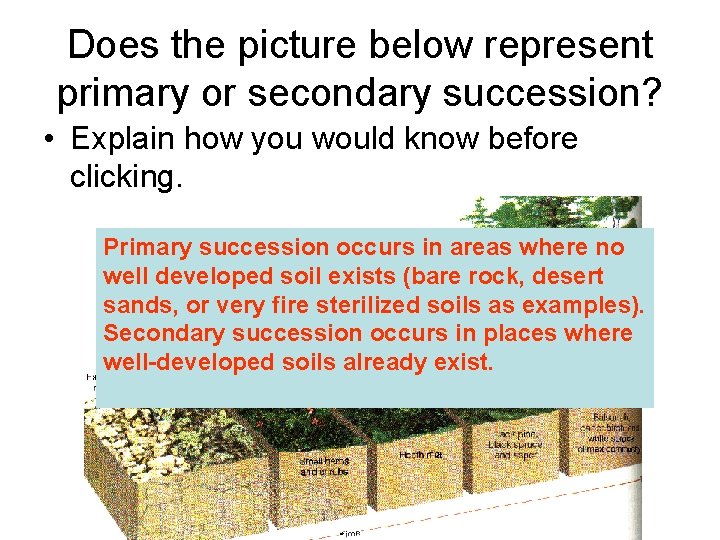 Does the picture below represent primary or secondary succession? • Explain how you would