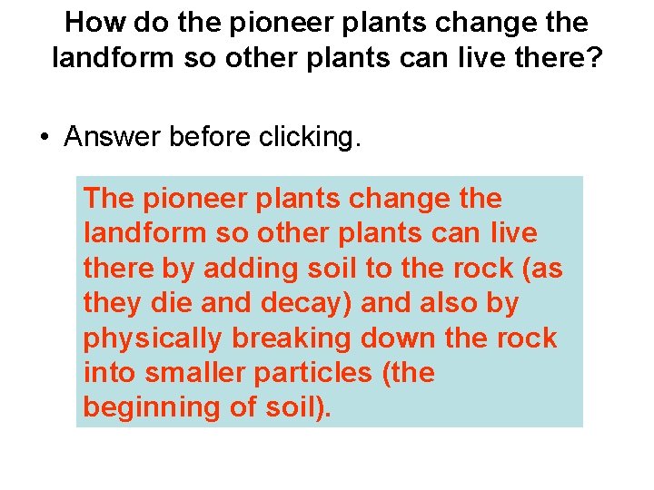 How do the pioneer plants change the landform so other plants can live there?